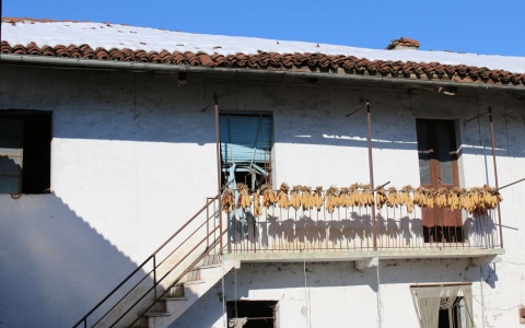 Mellea - cascina lamberti